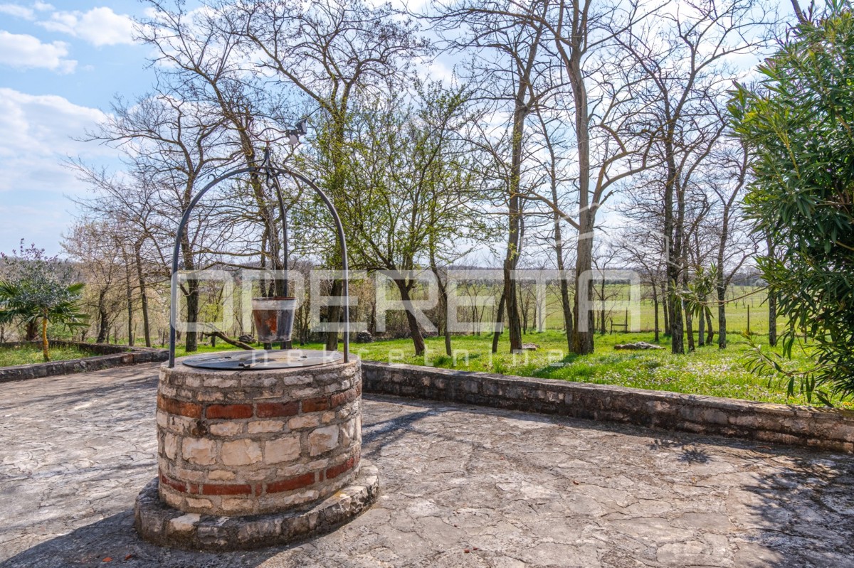 Buje, Kaštel - posestvo 1909 m2 z gostinsko namembnostjo in nastanitvijo
