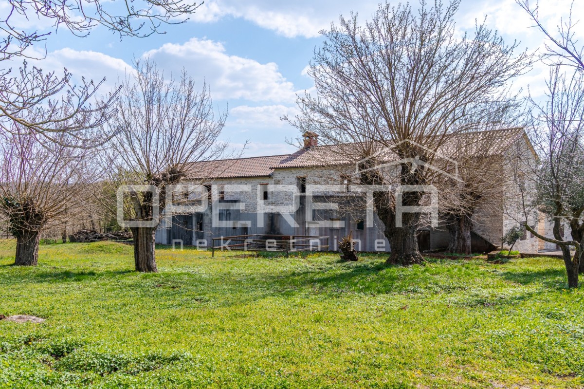 Buje, Kaštel - posestvo 1909 m2 z gostinsko namembnostjo in nastanitvijo