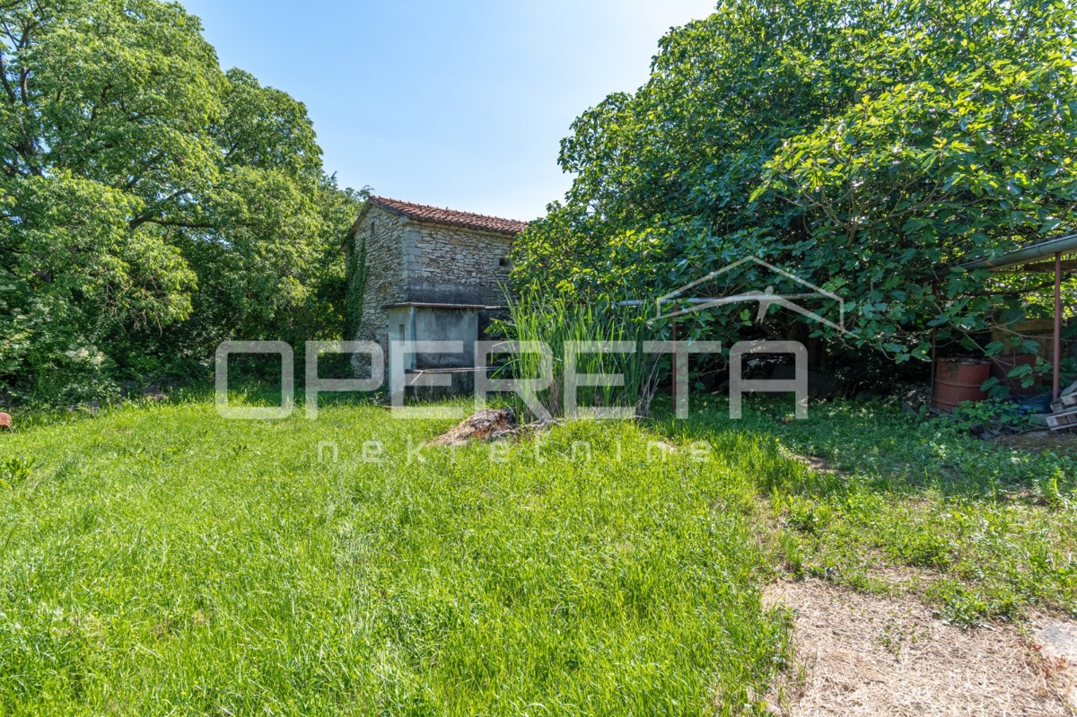 Idilična posest s 3 starimi hišami, kombinacija stavbnega/kmetijskega zemljišča 23900m2