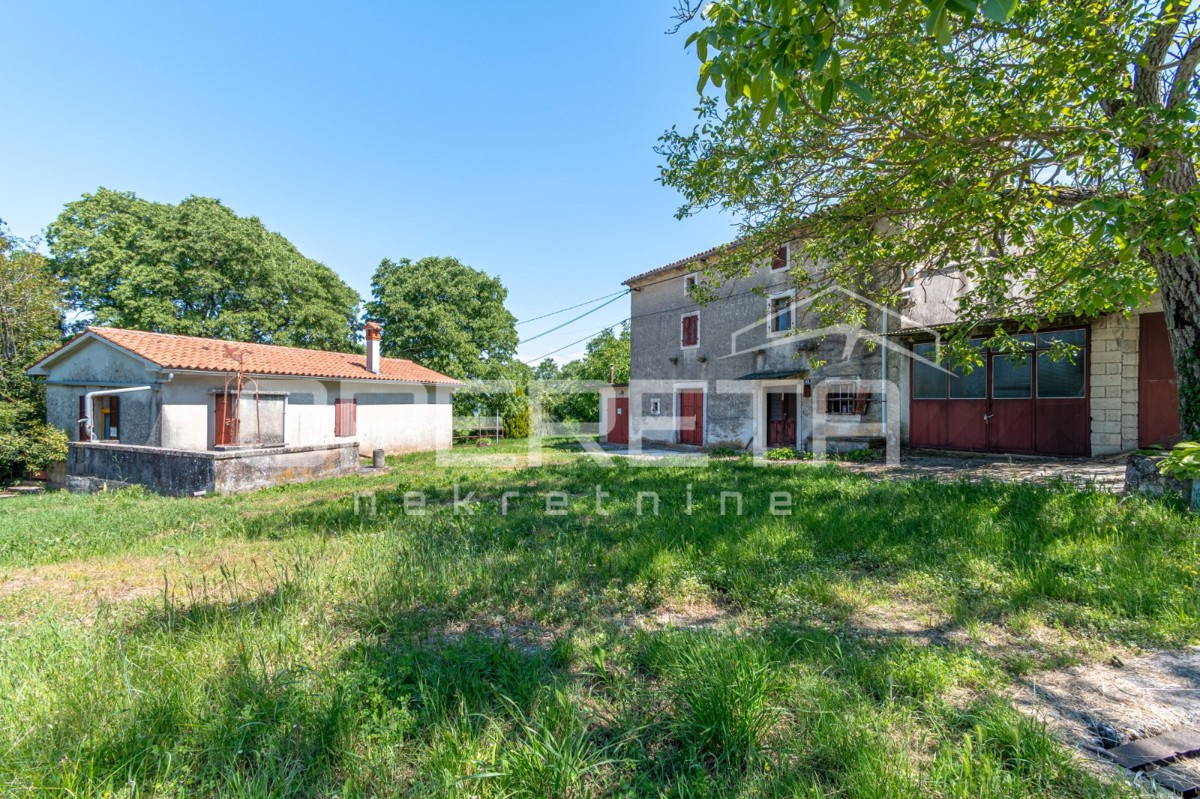 Idilična posest s 3 starimi hišami, kombinacija stavbnega/kmetijskega zemljišča 23900m2