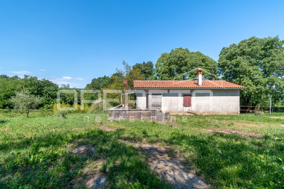 Idilična posest s 3 starimi hišami, kombinacija stavbnega/kmetijskega zemljišča 23900m2