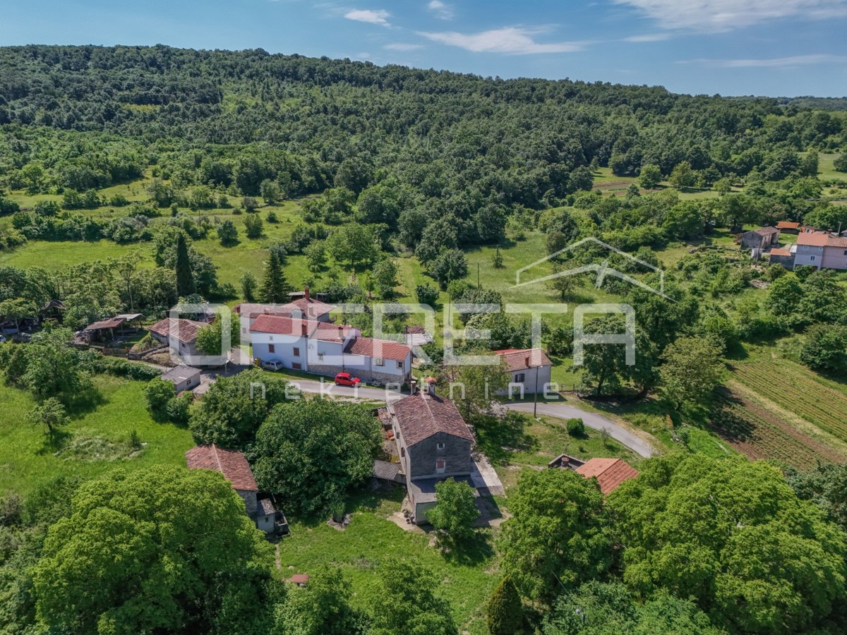 Idilična posest s 3 starimi hišami, kombinacija stavbnega/kmetijskega zemljišča 23900m2