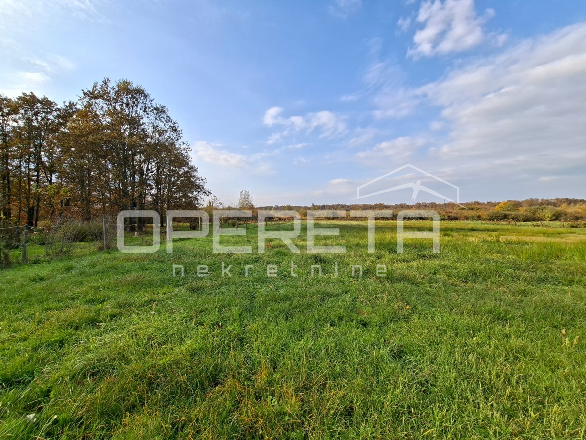 Prodaja, Hiša, Lasinja, Jamnička, Samostojeća, 57m2