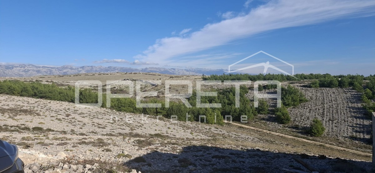 Prodaja, Hiša, Povljana, Smokvica, Samostojeća, 100m2