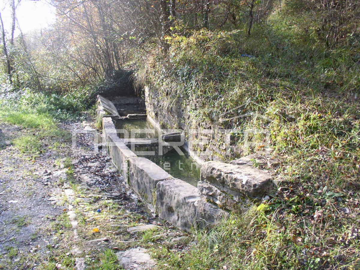 Prodaja, Hiša, Motovun, Livade, Samostojeća, 200m2