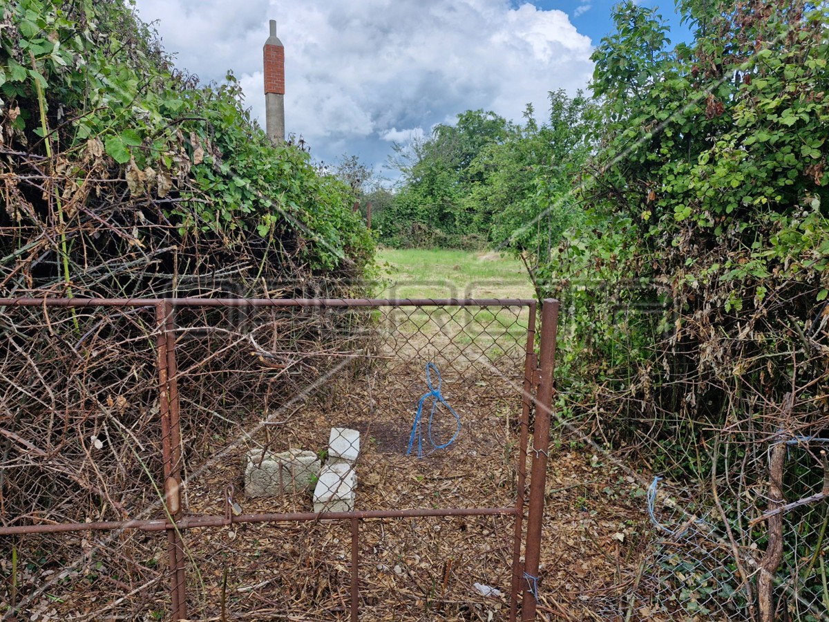 Kuca za adaptacijo sa velikim potencialom, okolica Barbane.