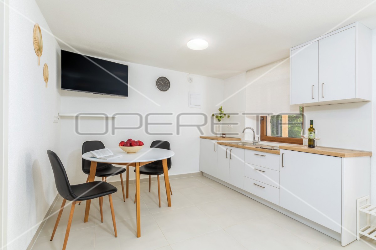 Istra, Šišan - Hiša dvojček s tremi apartmaji, idealna za investicijo