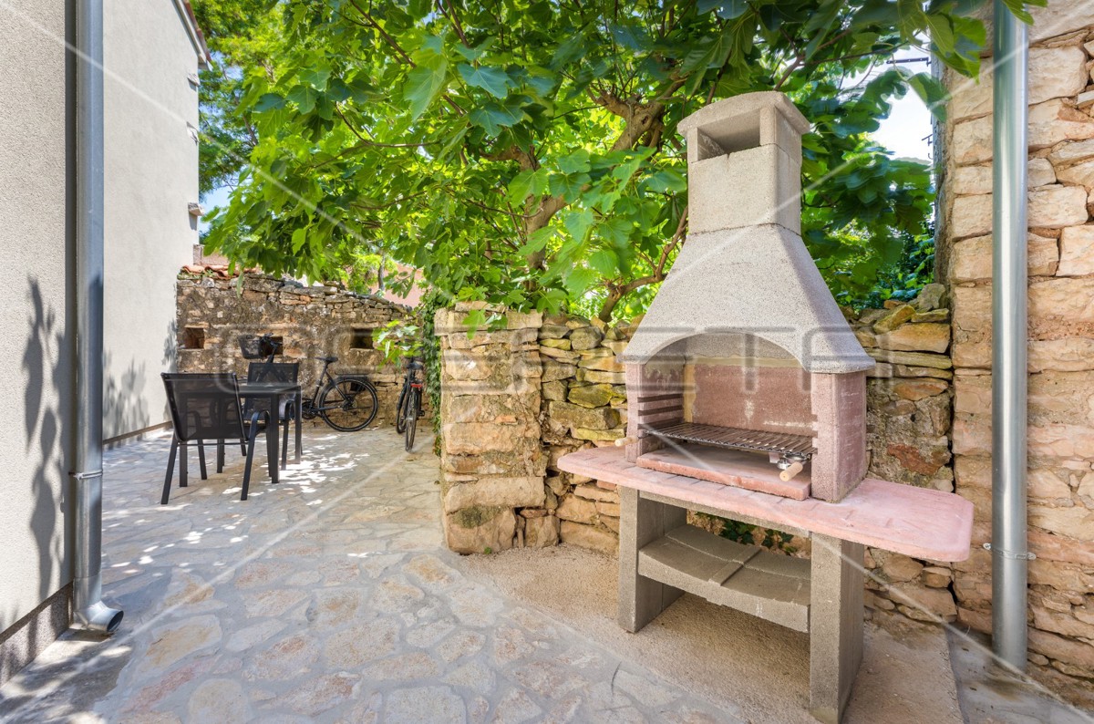 Istra, Šišan - Hiša dvojček s tremi apartmaji, idealna za investicijo