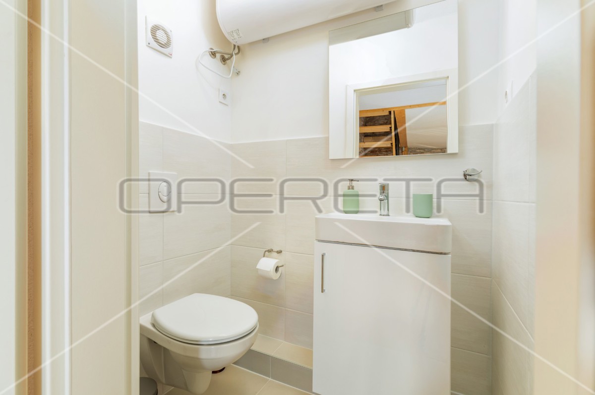 Istra, Šišan - Hiša dvojček s tremi apartmaji, idealna za investicijo