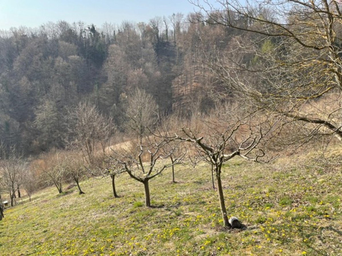 Prodaja, Hiša, Gornja Voća, Gornja Voća, Samostojeća, 78m2