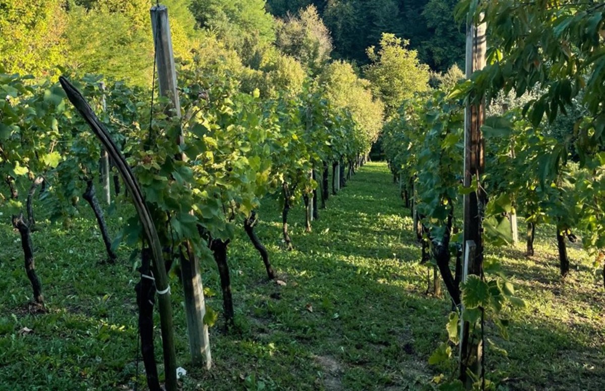 Prodaja, Hiša, Gornja Voća, Gornja Voća, Samostojeća, 78m2