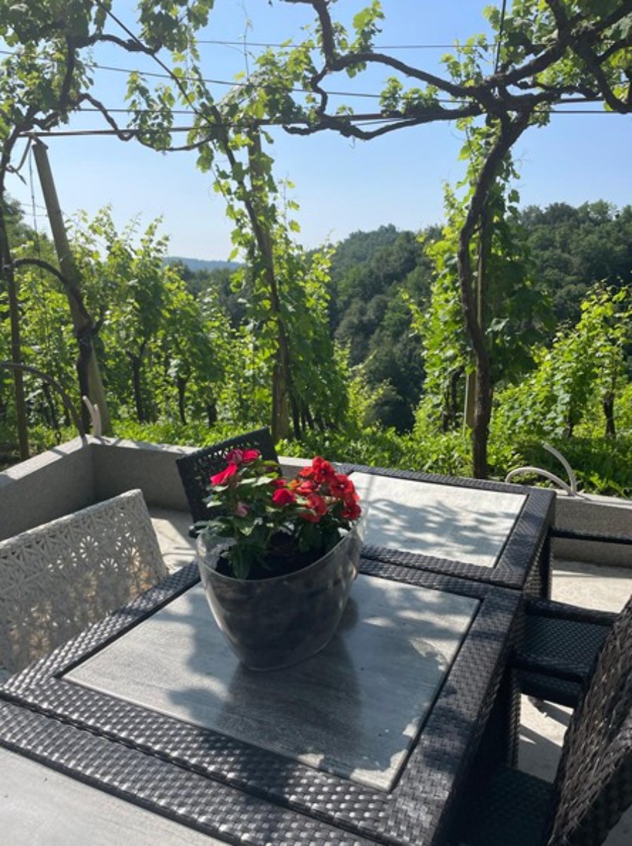 Prodaja, Hiša, Gornja Voća, Gornja Voća, Samostojeća, 78m2