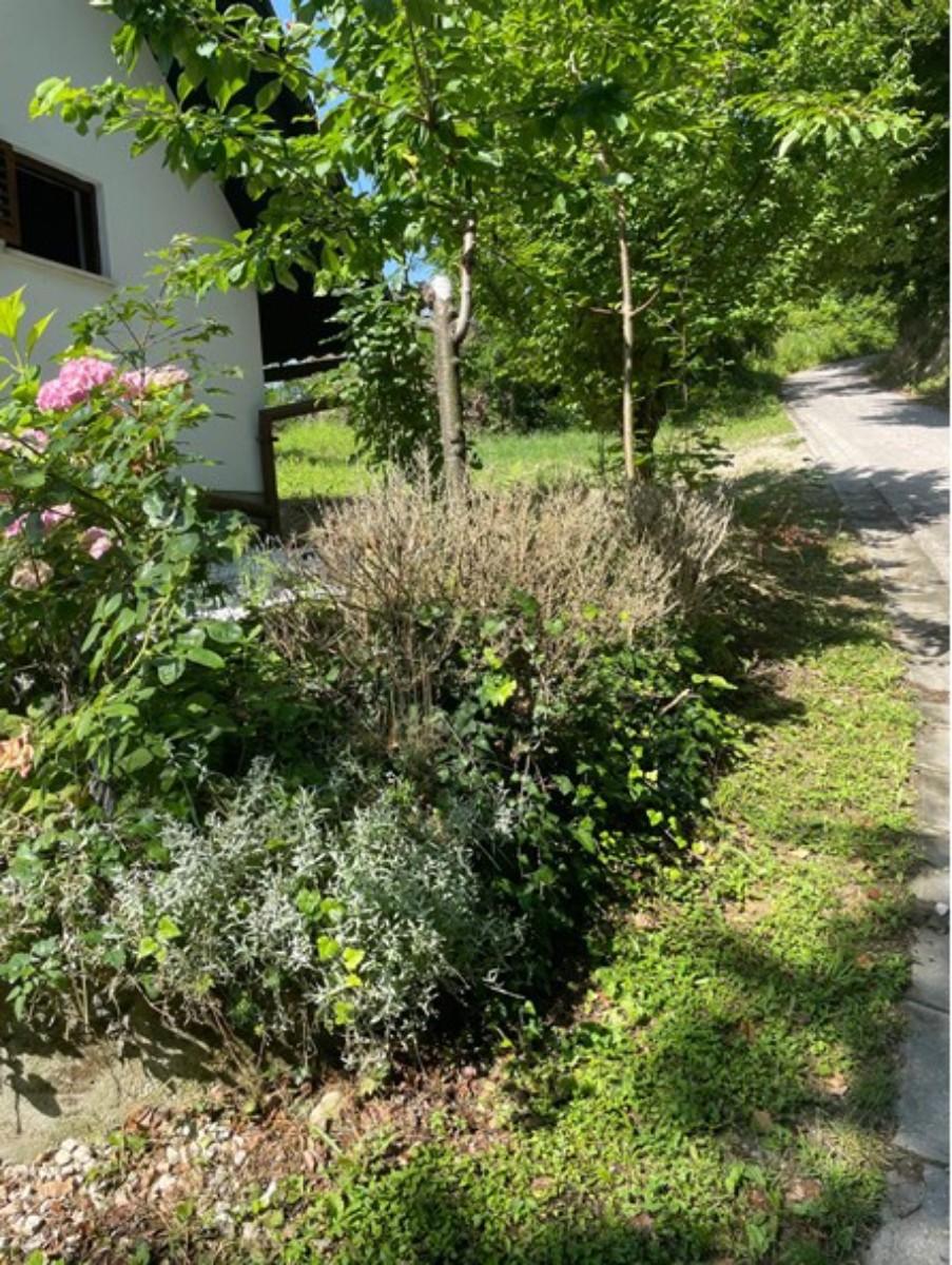 Prodaja, Hiša, Gornja Voća, Gornja Voća, Samostojeća, 78m2