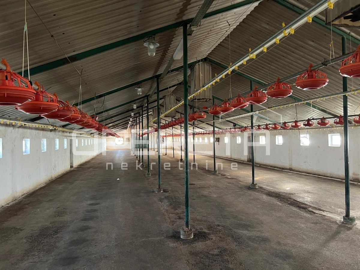Prodaja, Hala-Skladište, Novi Marof, Ključ, 3464m2