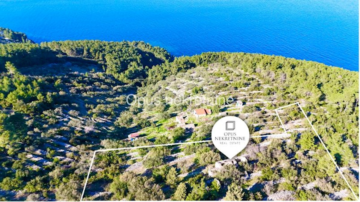 KORČULA, 4 kamnite hiše na 6000 m2 zemljišča