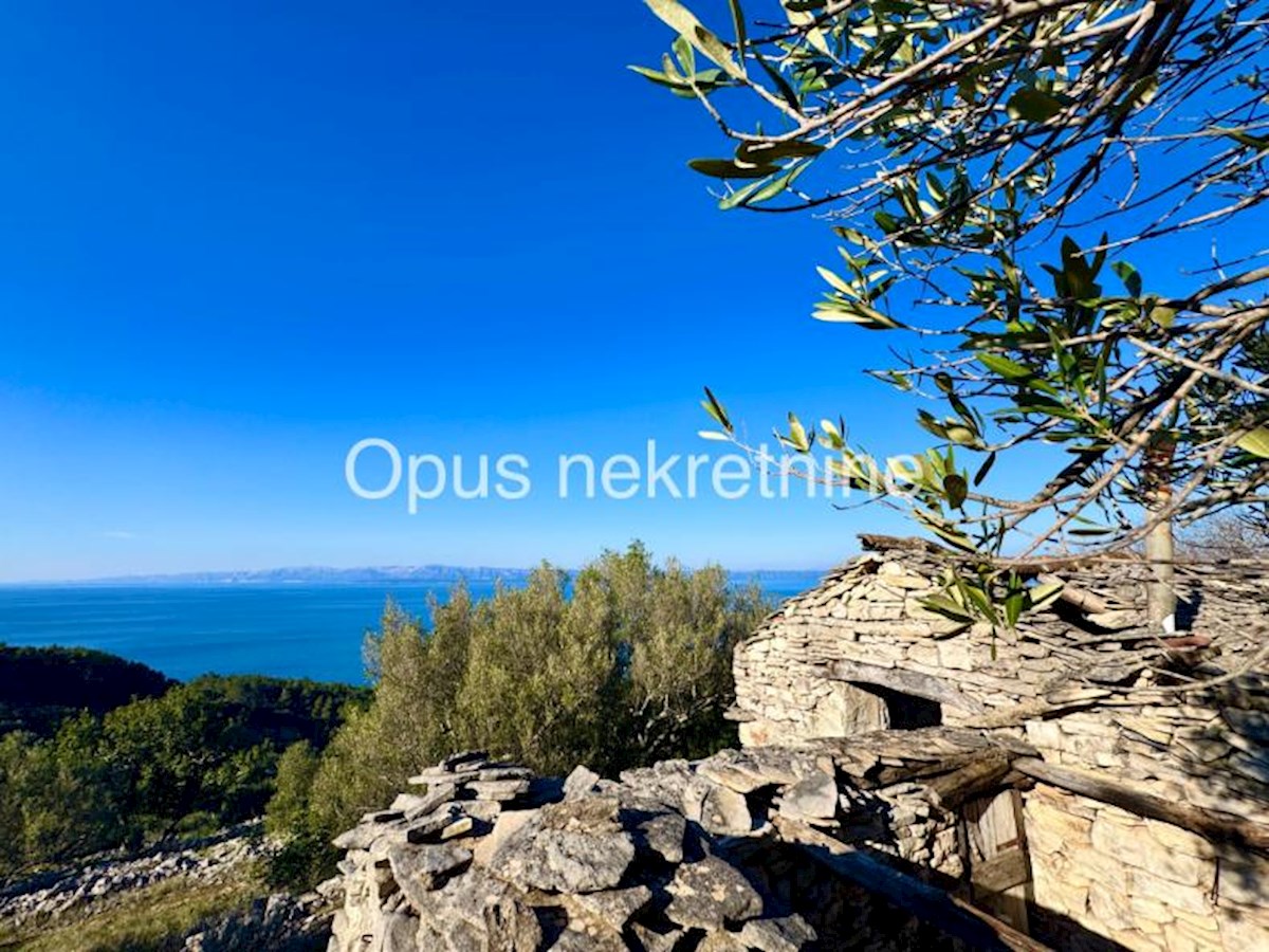 KORČULA, 4 kamnite hiše na 6000 m2 zemljišča