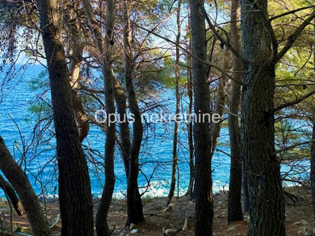 KORČULA, 4 kamnite hiše na 6000 m2 zemljišča