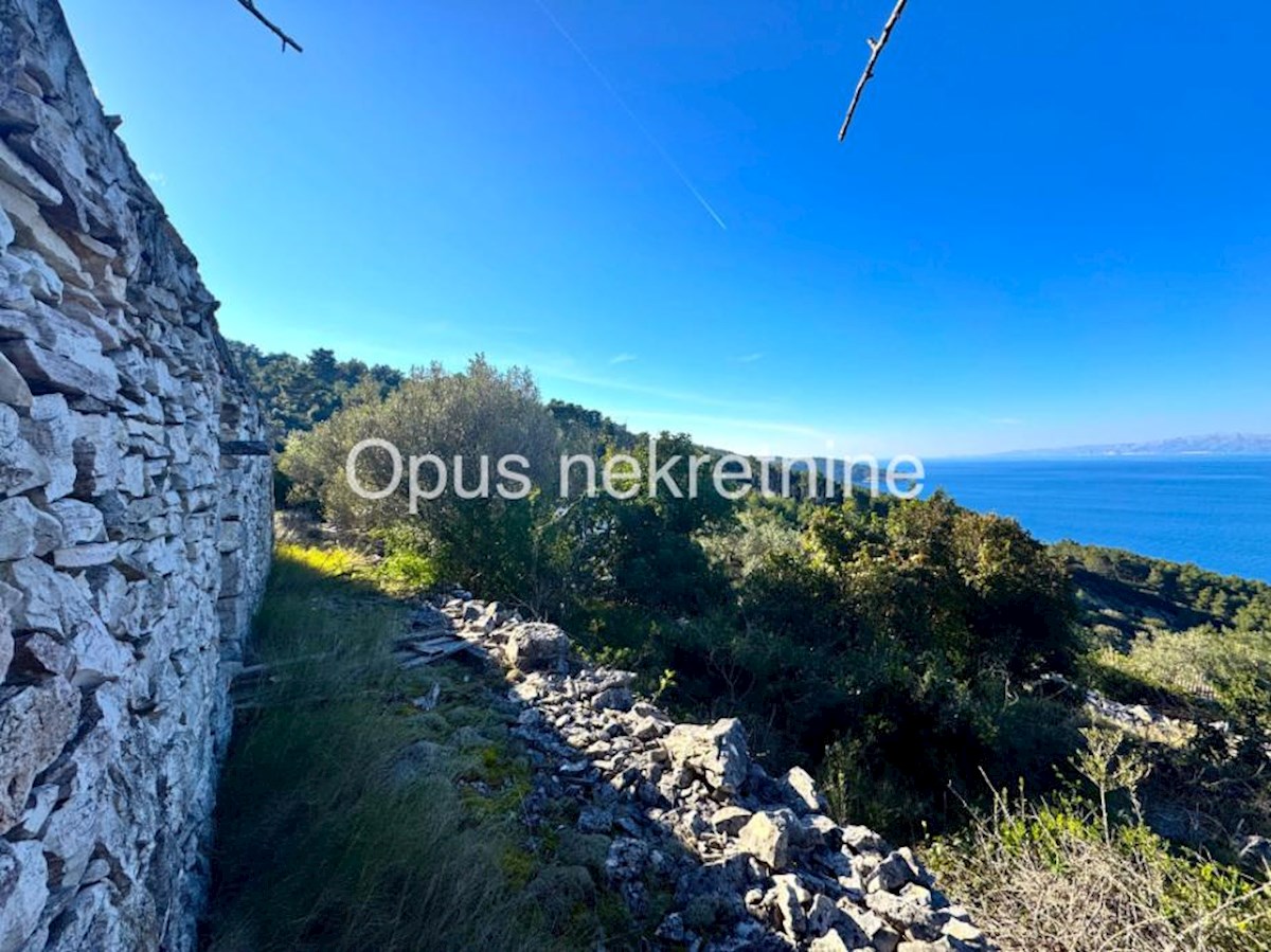 KORČULA, 4 kamnite hiše na 6000 m2 zemljišča