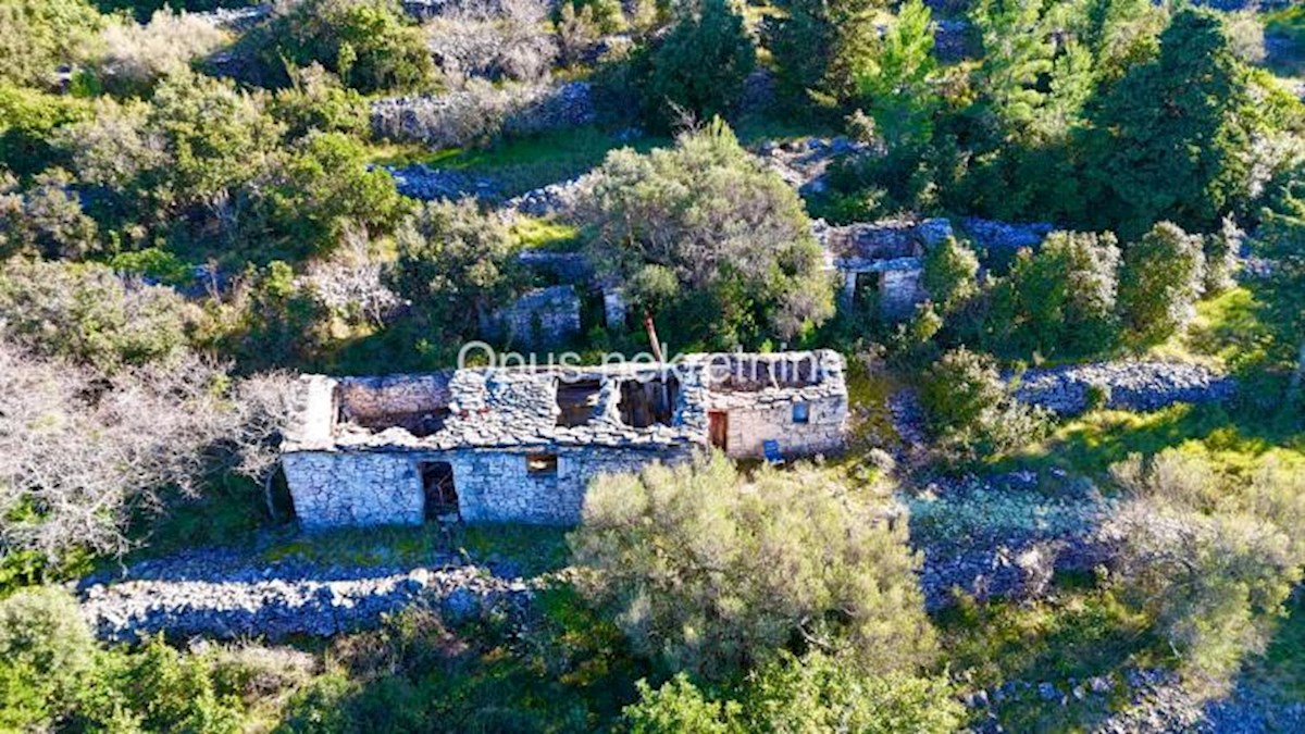 KORČULA, 4 kamnite hiše na 6000 m2 zemljišča