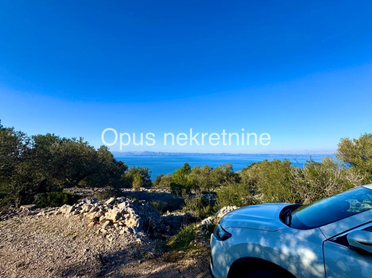 KORČULA, 4 kamnite hiše na 6000 m2 zemljišča