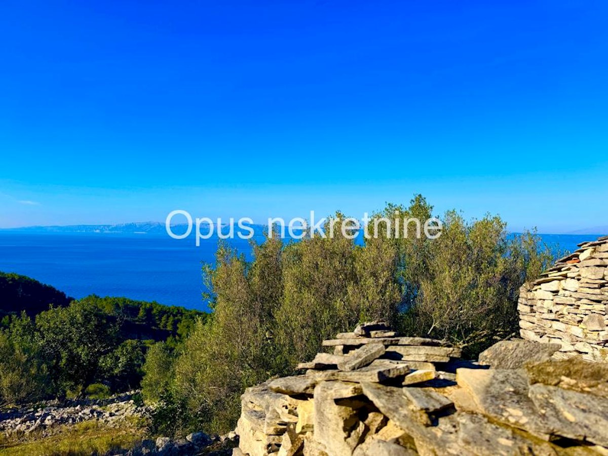KORČULA, 4 kamnite hiše na 6000 m2 zemljišča