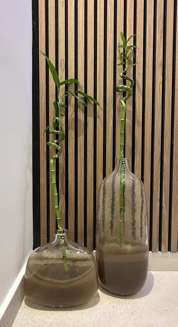 Laurea - rustikalna vila v mirnem okolju - Malinska