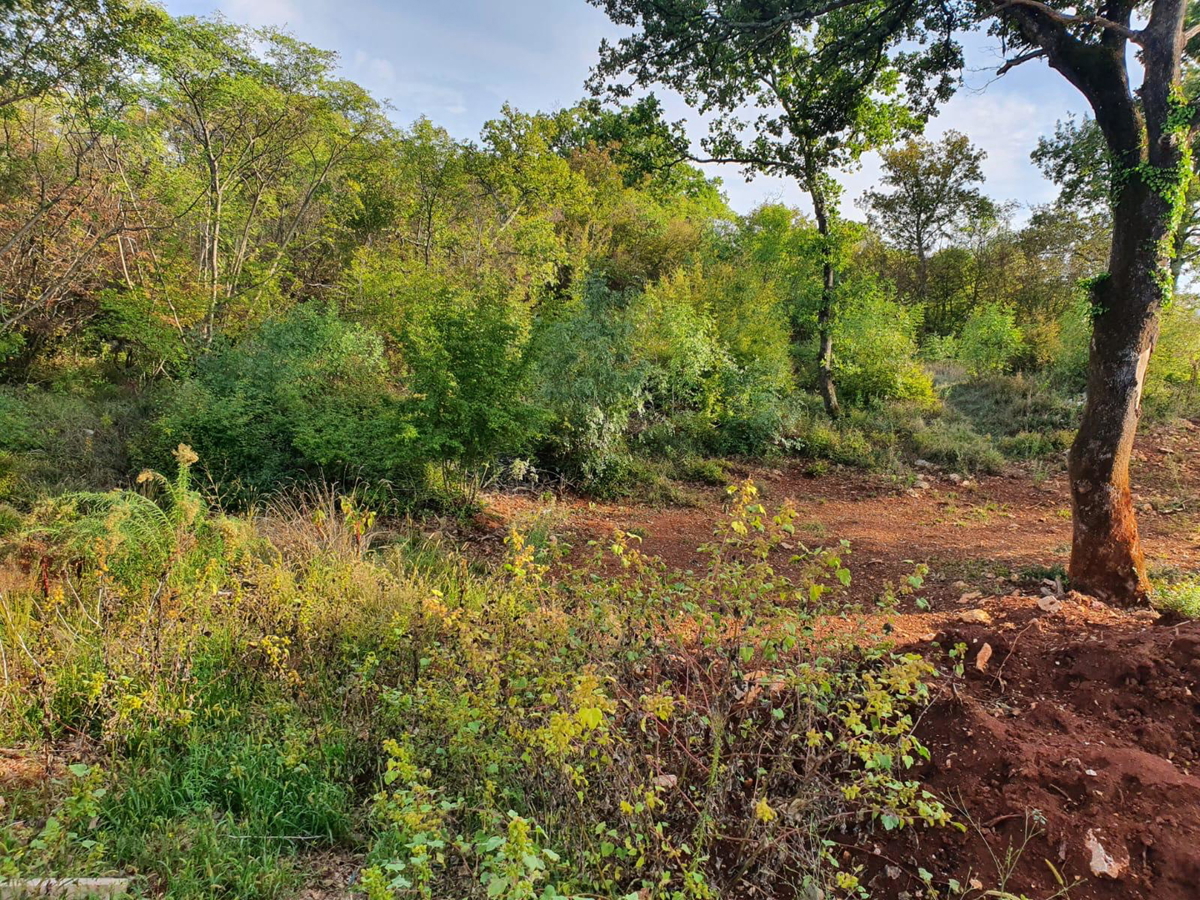 Gradbeno zemljišče z razgledom na morje in gradbenim dovoljenjem – 1089 m², 500 m od morja