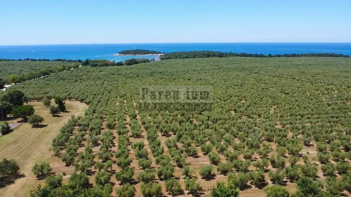 Poreč, okolica, VRHUNSKA zemljišča 400m od morja!