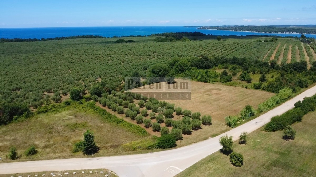 Poreč, okolica, VRHUNSKA zemljišča 400m od morja!