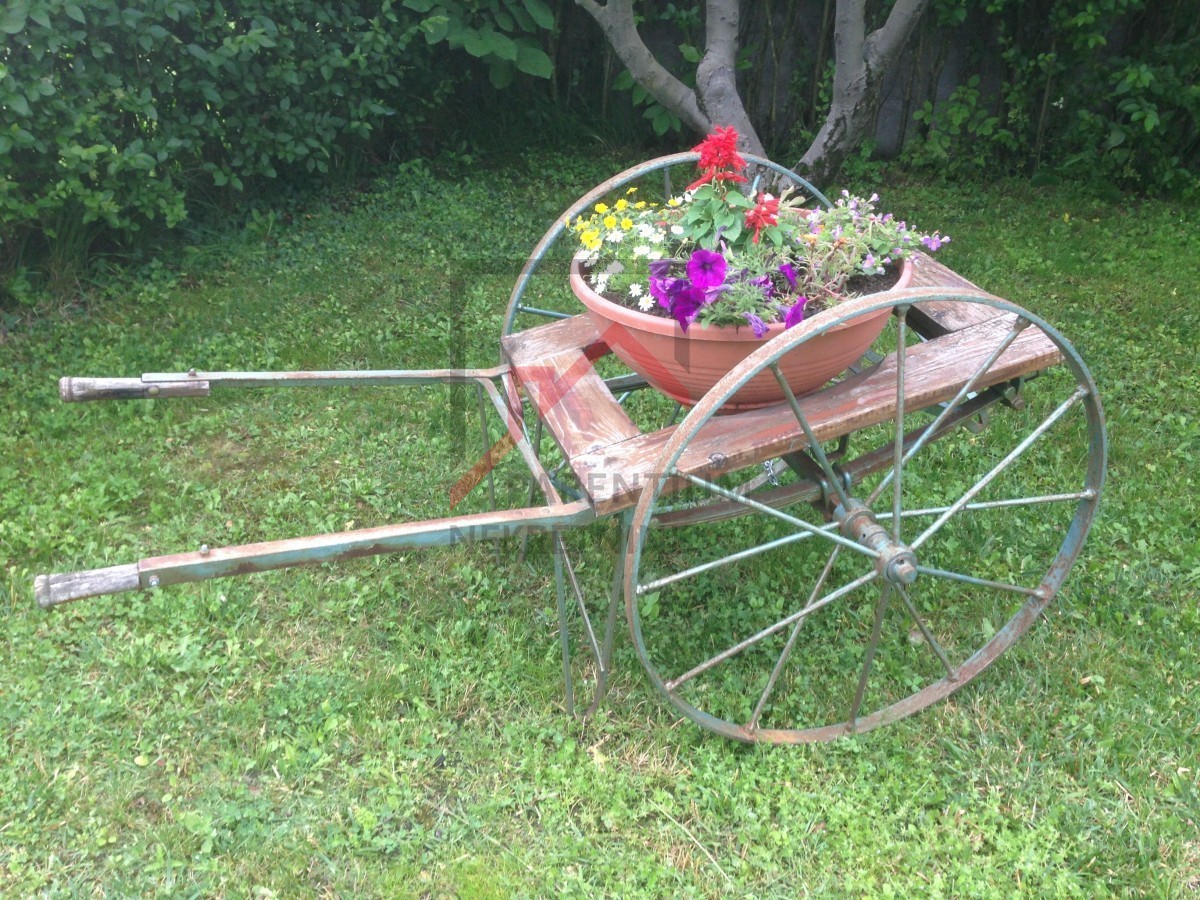 Hiša z lepim dvoriščem na mirni lokaciji v središču Istre