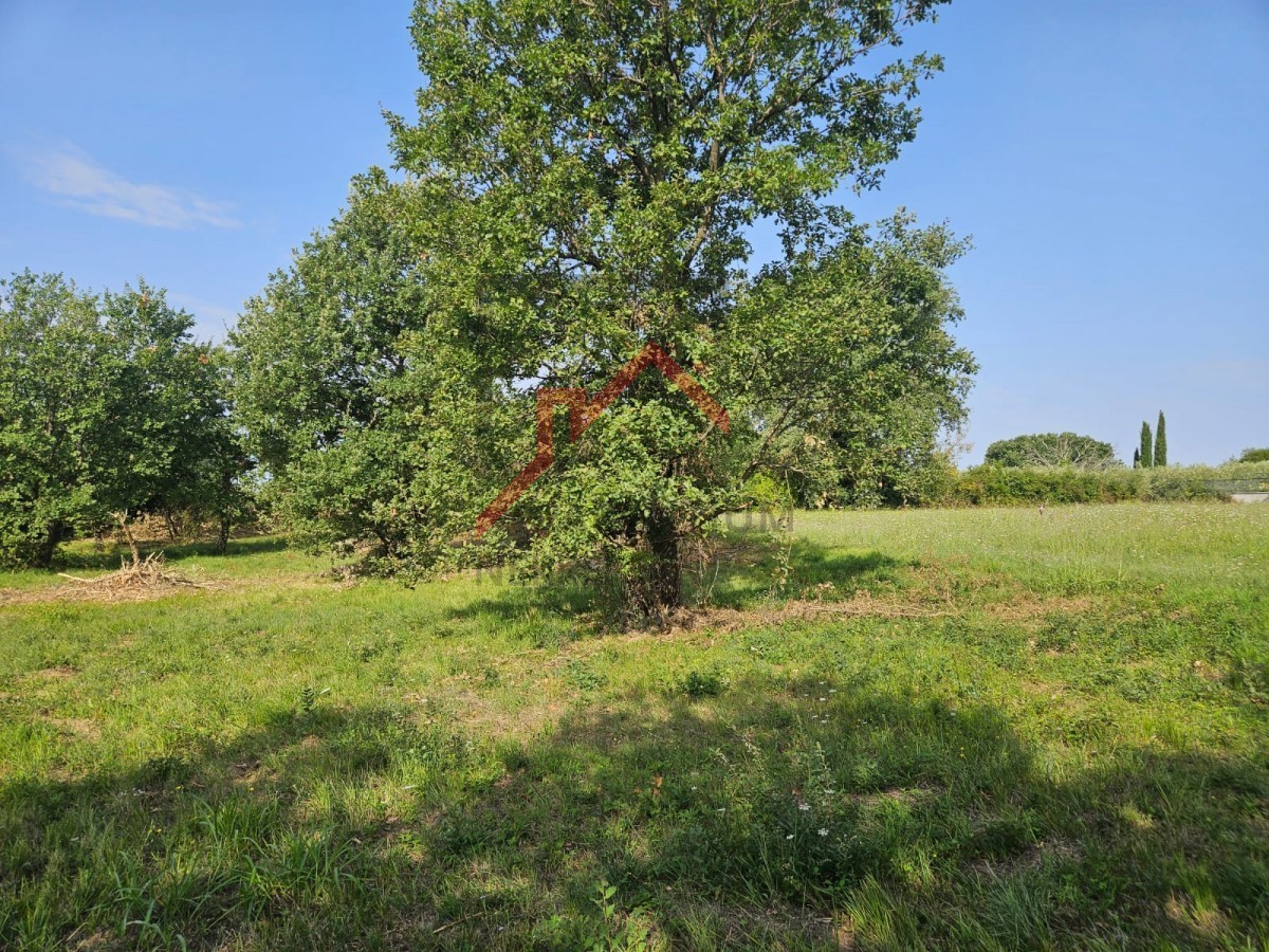 Gradbeno zemljišče za gradnjo stanovanj ali družinskih hiš