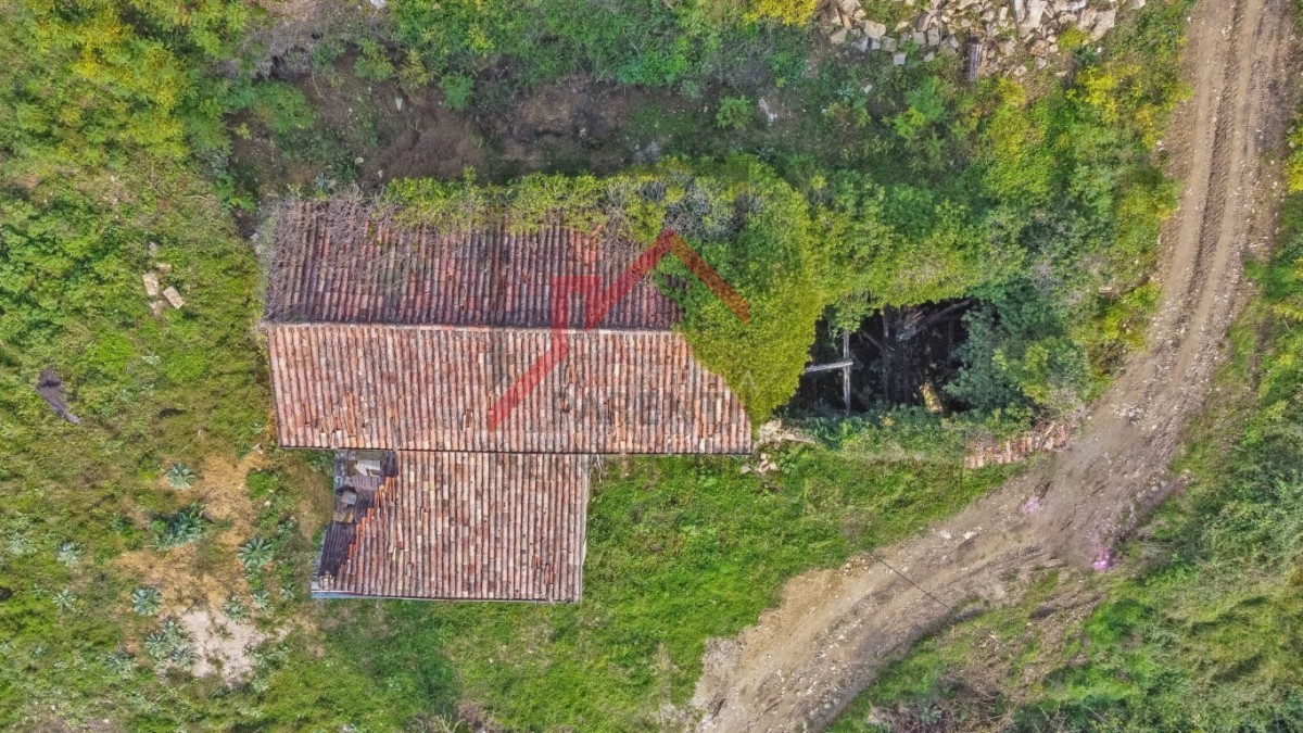 Kamnita hiša za prenovo z velikim vrtom v bližini Motovuna