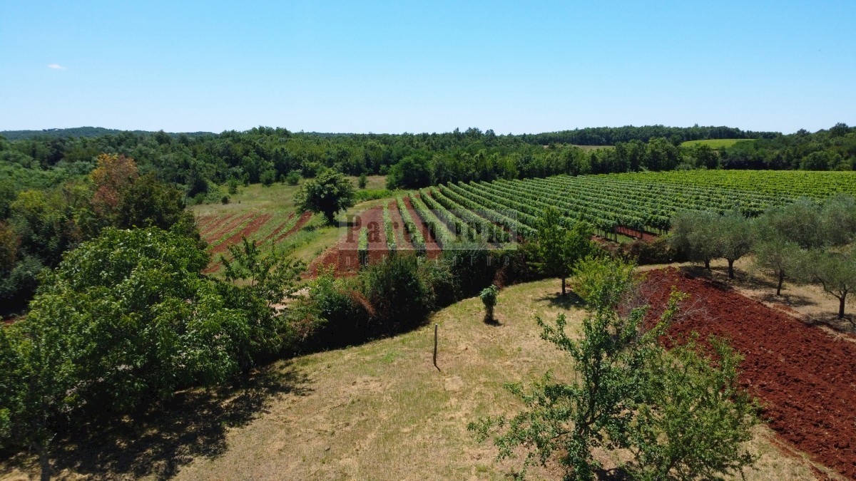 Poreč, okolica, Čudovita rustikalna vila z bazenom in odprtim pogledom!