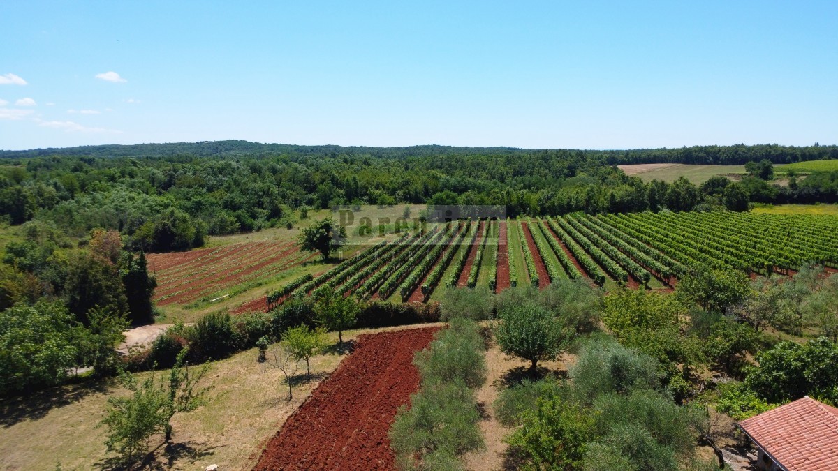 Poreč, okolica, Čudovita rustikalna vila z bazenom in odprtim pogledom!