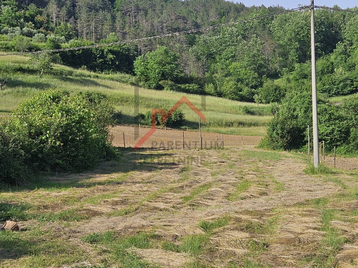 Gradbeno zemljišče, 2030m2, blizu Buzeta