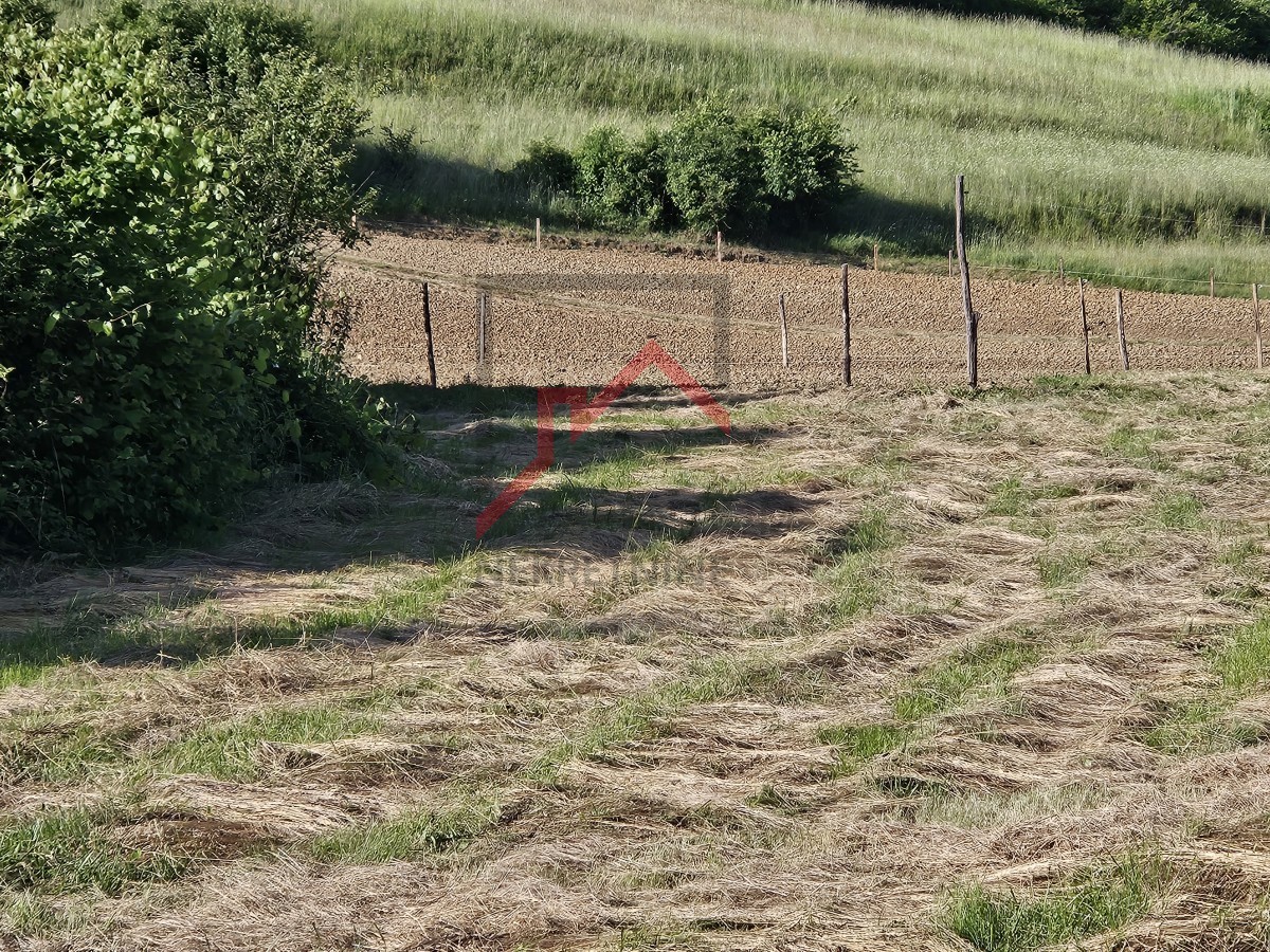 Gradbeno zemljišče, 2030m2, blizu Buzeta