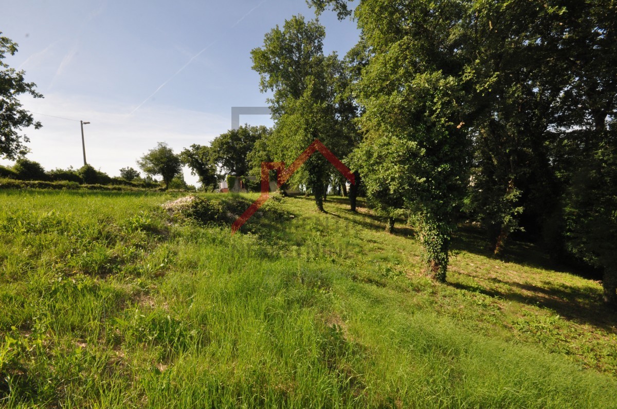 Gradbeno zemljišče za gradnjo več hiš - 3266m2