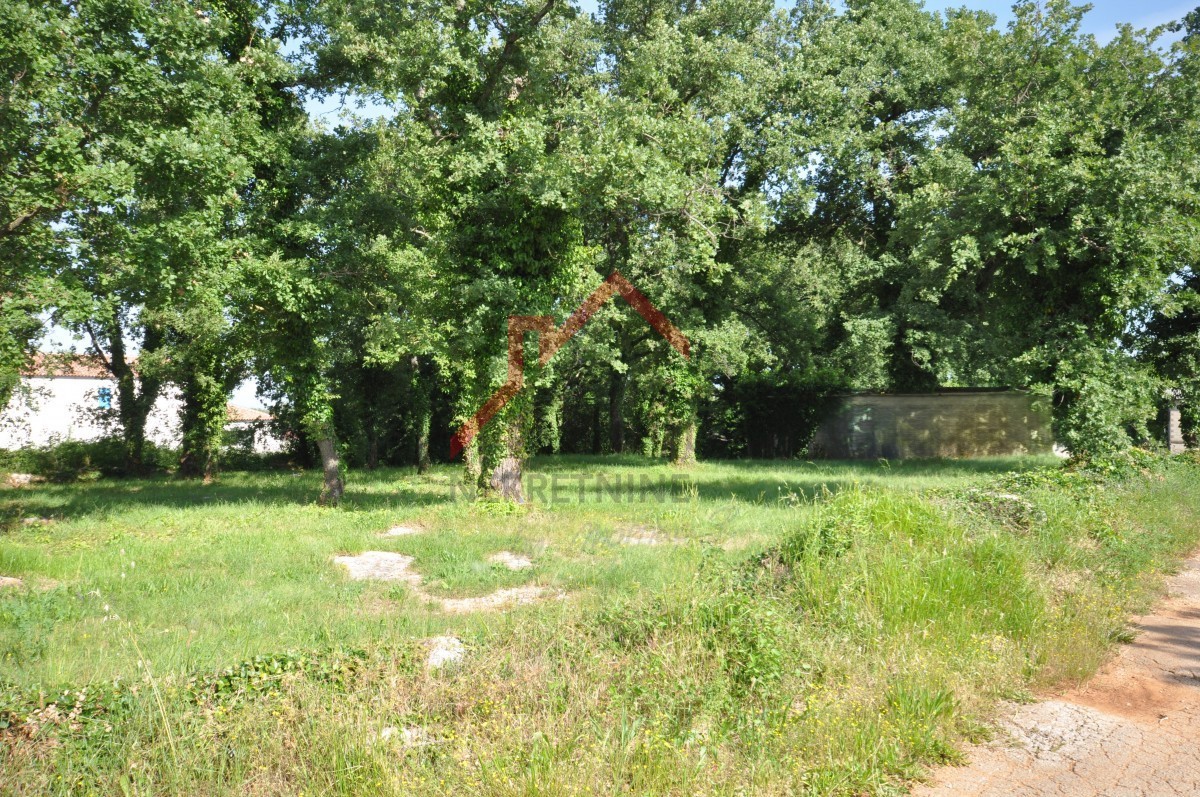 Gradbeno zemljišče za gradnjo več hiš - 3266m2