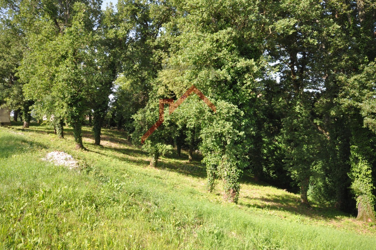 Gradbeno zemljišče za gradnjo več hiš - 3266m2