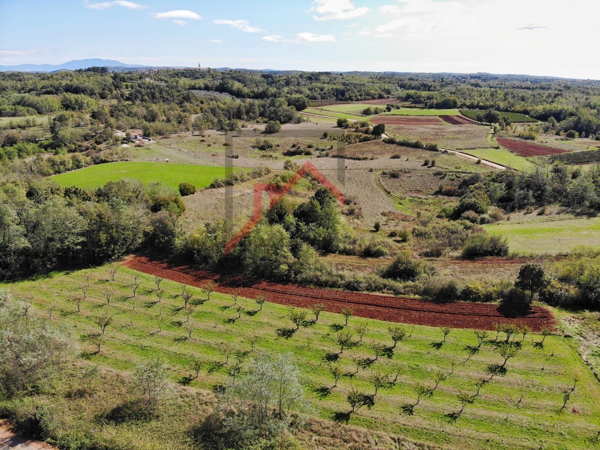 Istra, Vižinada - Zemljišče z gradbenim in kmetijskim delom