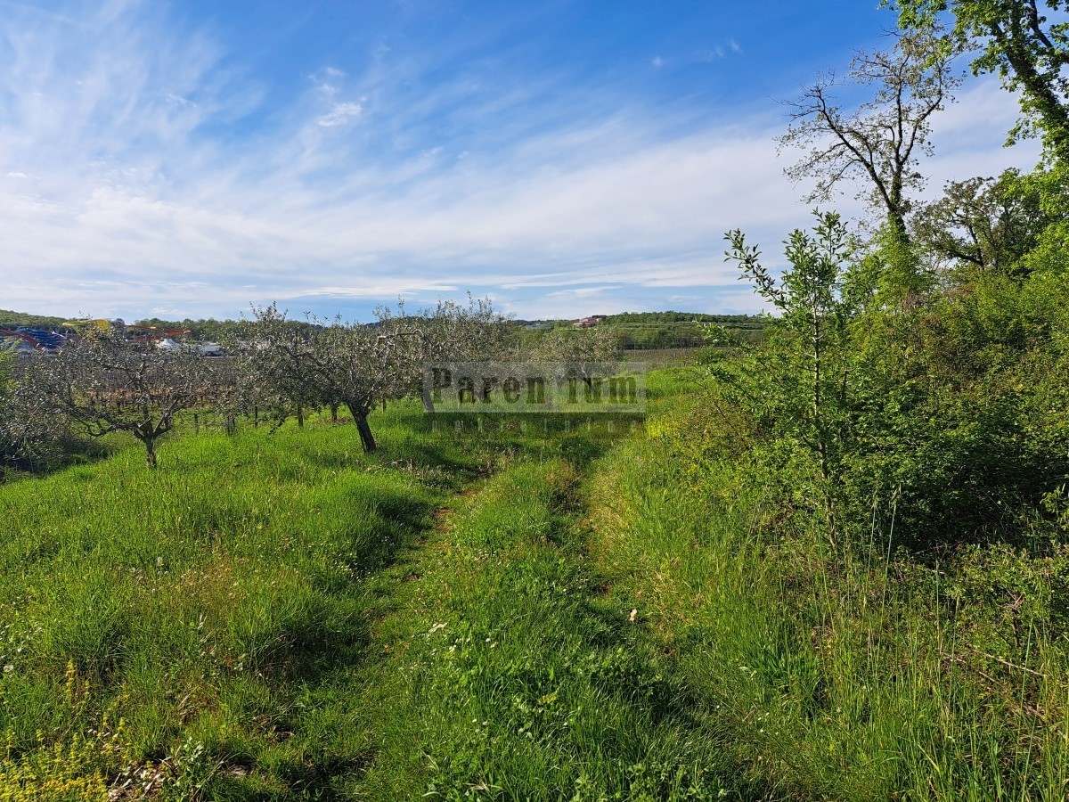 Poreč, 35.000m2 Kmetijsko zemljišče, 2 km od morja