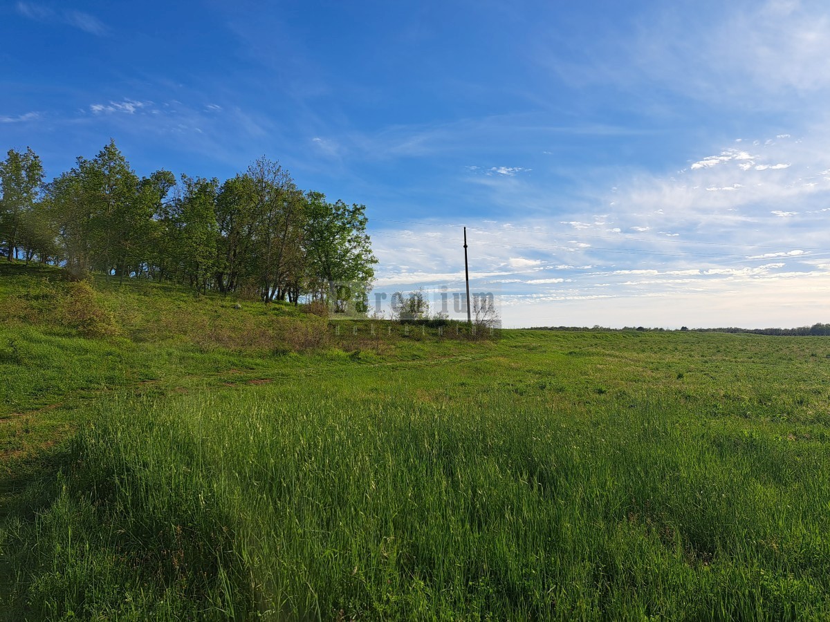 Poreč, 35.000m2 Kmetijsko zemljišče, 2 km od morja