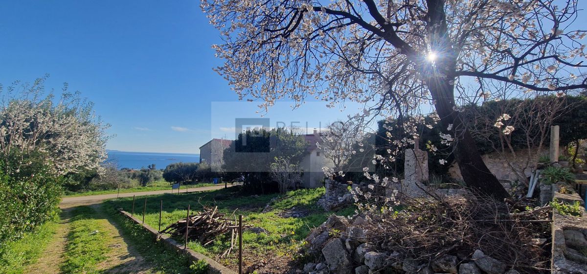 Kamnita hiša z vrtom (za obnovo)* odprt pogled na morje