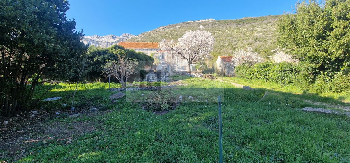 Kamnita hiša z vrtom (za obnovo)* odprt pogled na morje
