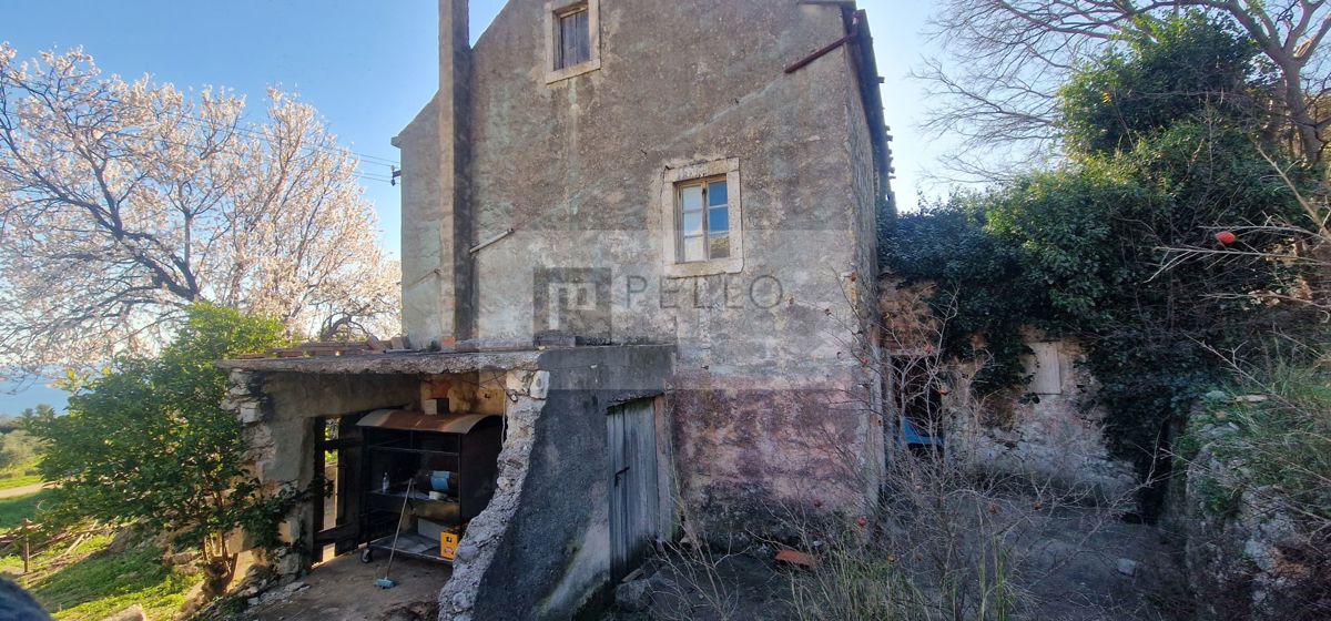 Kamnita hiša z vrtom (za obnovo)* odprt pogled na morje