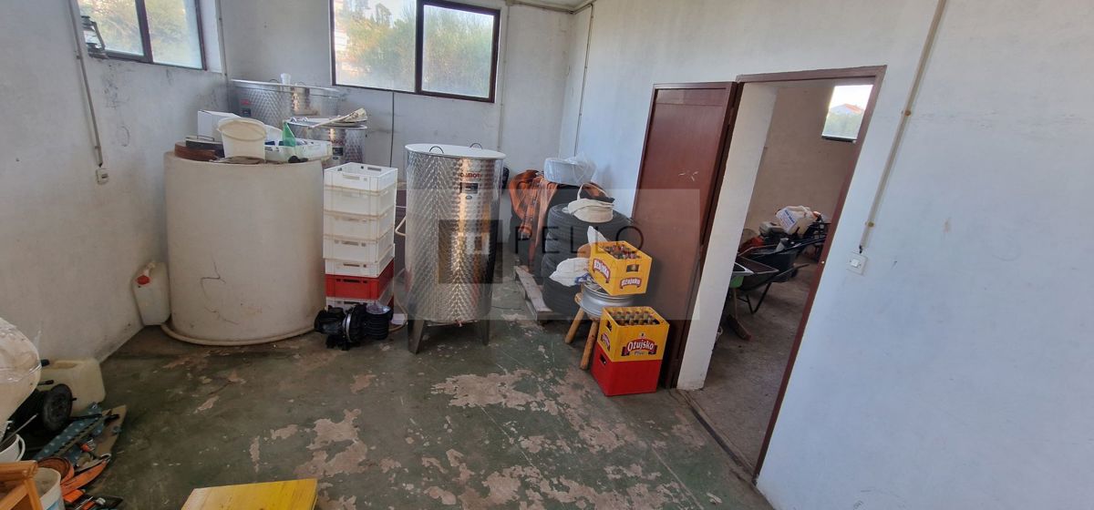Dvonadstropna hiša v Trpnju za investicijo