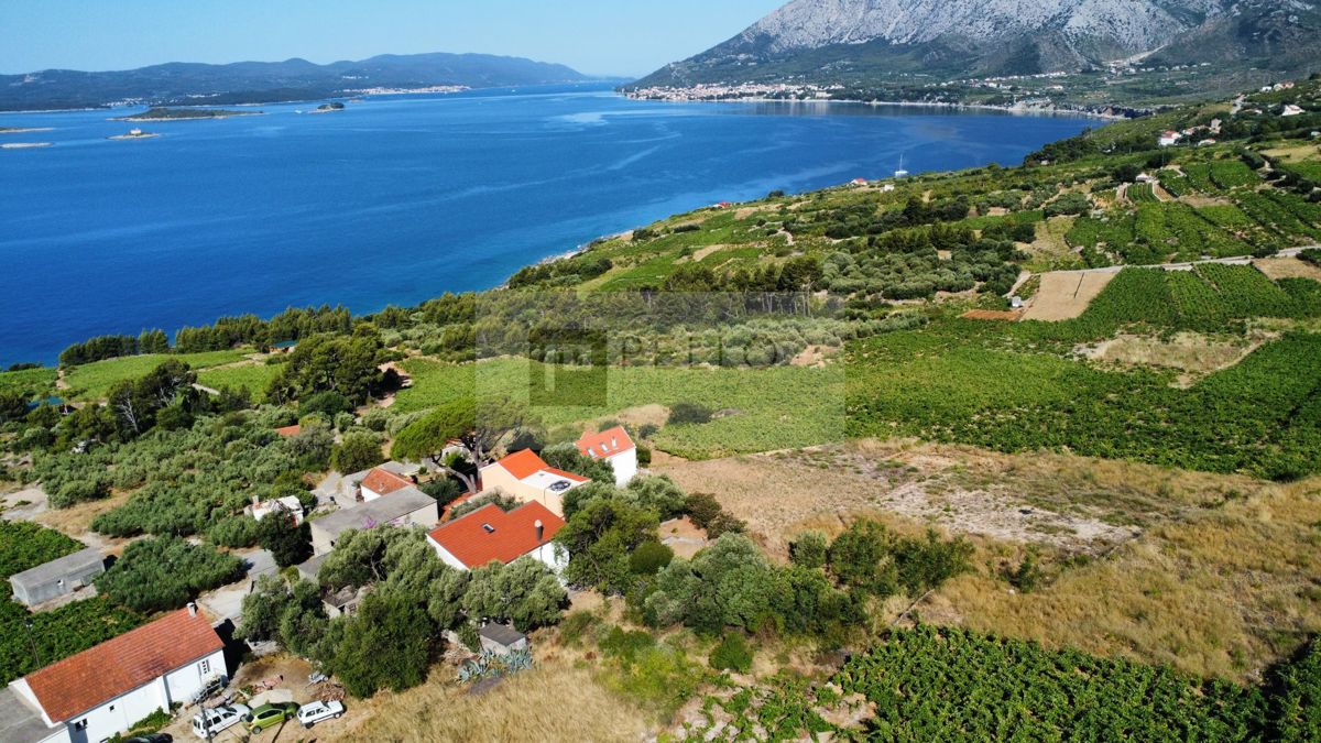 Dvojna kamnita hiša med trto in borovci... (POSTUP-PELJEŠAC)
