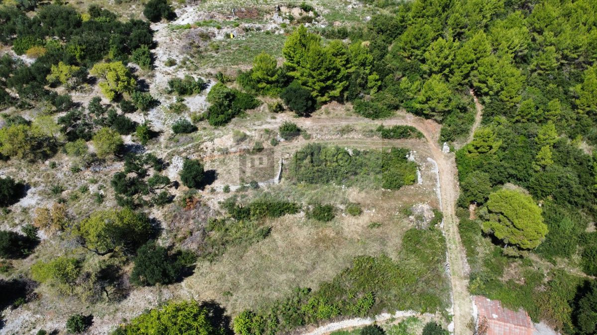 Hiša na osami s panoramskim razgledom (za obnovo) 1590m2 velik vrt