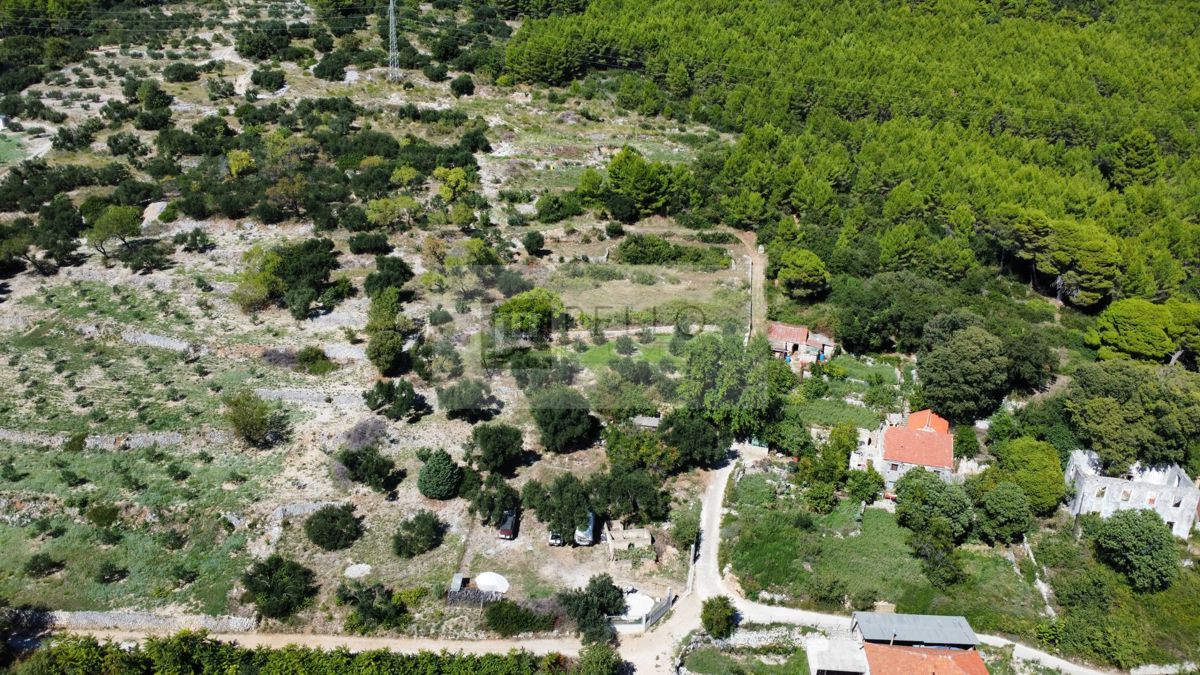 Hiša na osami s panoramskim razgledom (za obnovo) 1590m2 velik vrt