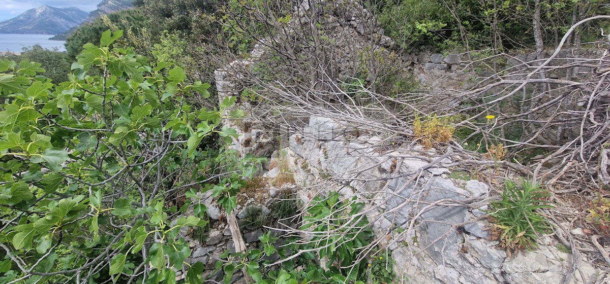 Ruševina z vinogradom POGLED NA MORJE (Žuljana/Pelješac)